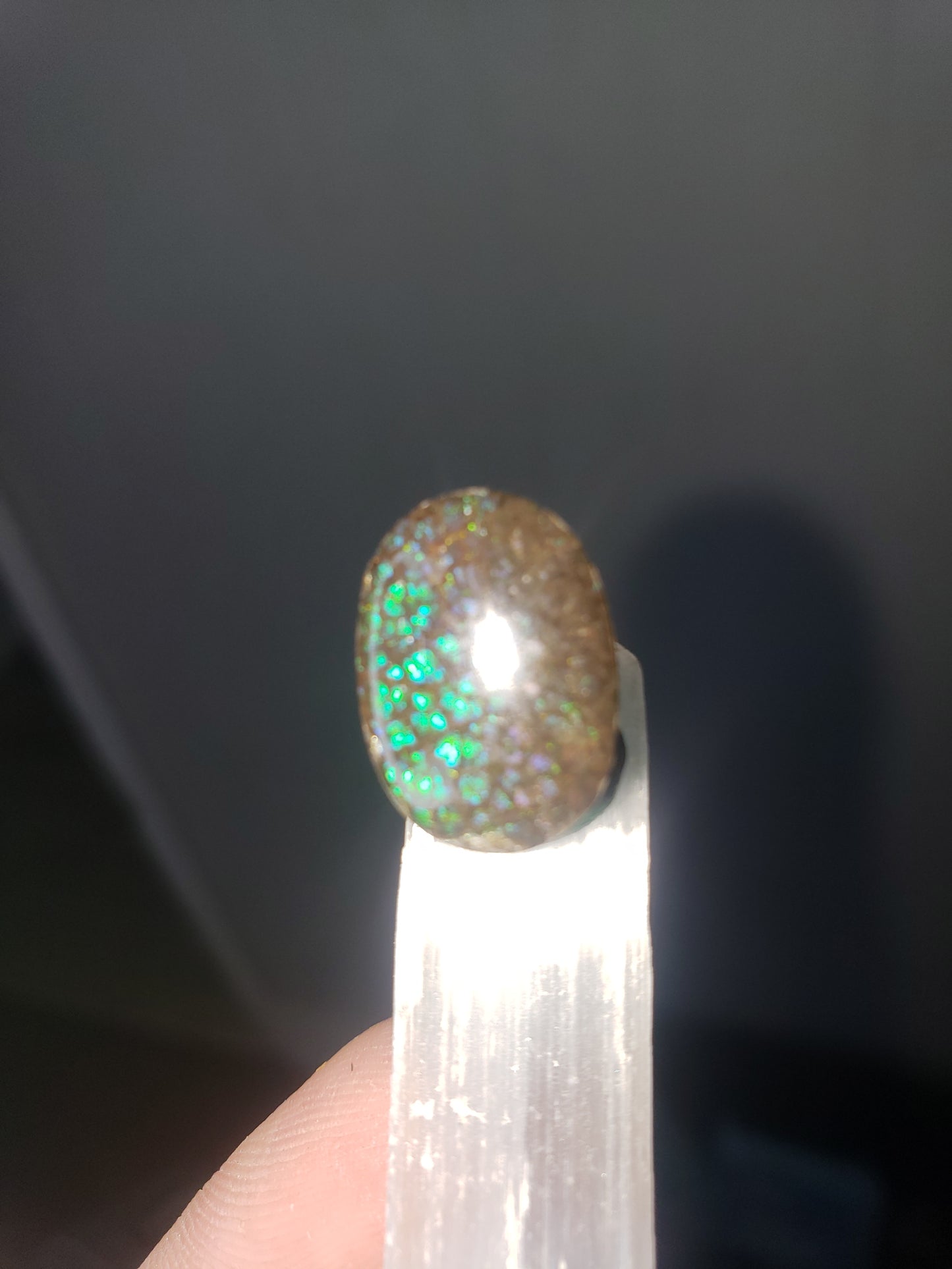 Ammolite cab